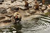 noorderdierenpark_125