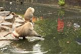 noorderdierenpark_126