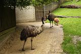 noorderdierenpark_127
