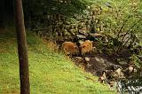 noorderdierenpark_130
