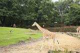 noorderdierenpark_132