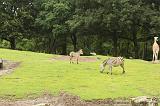 noorderdierenpark_133