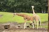 noorderdierenpark_134