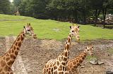 noorderdierenpark_135