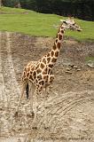 noorderdierenpark_136