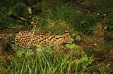 noorderdierenpark_137
