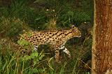noorderdierenpark_138