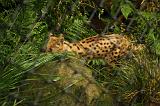 noorderdierenpark_139