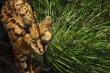 noorderdierenpark_140