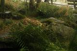 noorderdierenpark_141