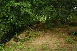 noorderdierenpark_142