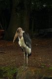 noorderdierenpark_145