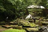 noorderdierenpark_147