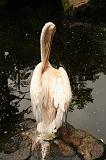 noorderdierenpark_149