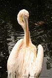 noorderdierenpark_150