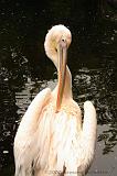 noorderdierenpark_151