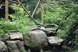 noorderdierenpark_153