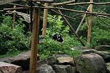 noorderdierenpark_161