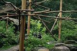 noorderdierenpark_162