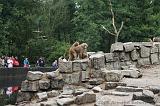 noorderdierenpark_169