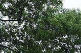 noorderdierenpark_170