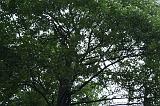 noorderdierenpark_171