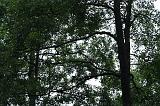 noorderdierenpark_172