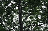 noorderdierenpark_173