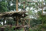 noorderdierenpark_174