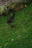 noorderdierenpark_177