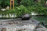 noorderdierenpark_178