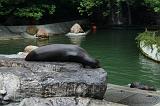 noorderdierenpark_179