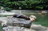 noorderdierenpark_181