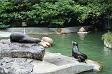 noorderdierenpark_182