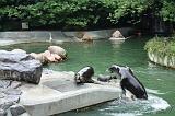 noorderdierenpark_183