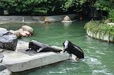 noorderdierenpark_184