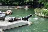 noorderdierenpark_185