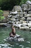 noorderdierenpark_187