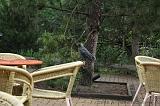 noorderdierenpark_192