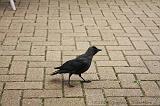noorderdierenpark_194