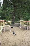 noorderdierenpark_195