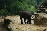 noorderdierenpark_196