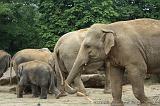noorderdierenpark_197