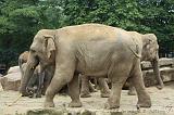 noorderdierenpark_198