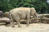 noorderdierenpark_199