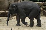 noorderdierenpark_200