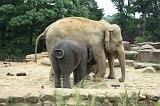 noorderdierenpark_202