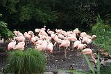 noorderdierenpark_203