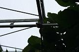 noorderdierenpark_204