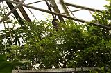 noorderdierenpark_215